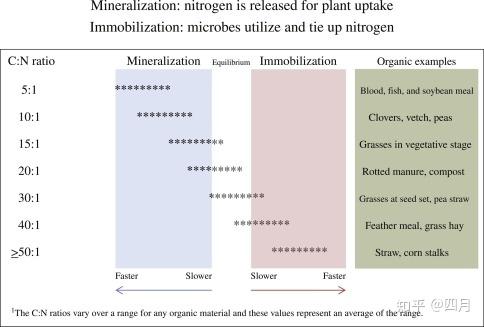 微生物的碳氮比_微生物碳氮含量_微生物碳氮系数